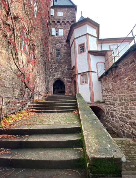 St. Raphael Schulen HD Ausflug Neckarelz 01