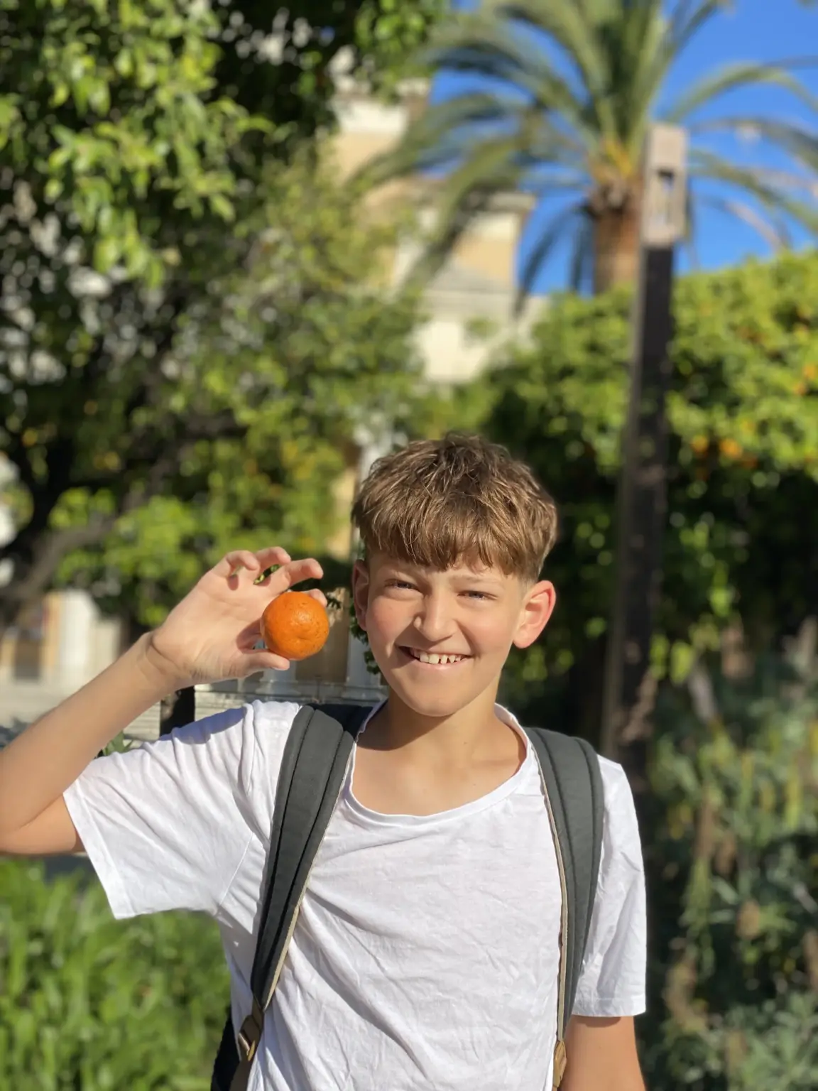 St. Raphael Schulen HD Austausch Nizza 06