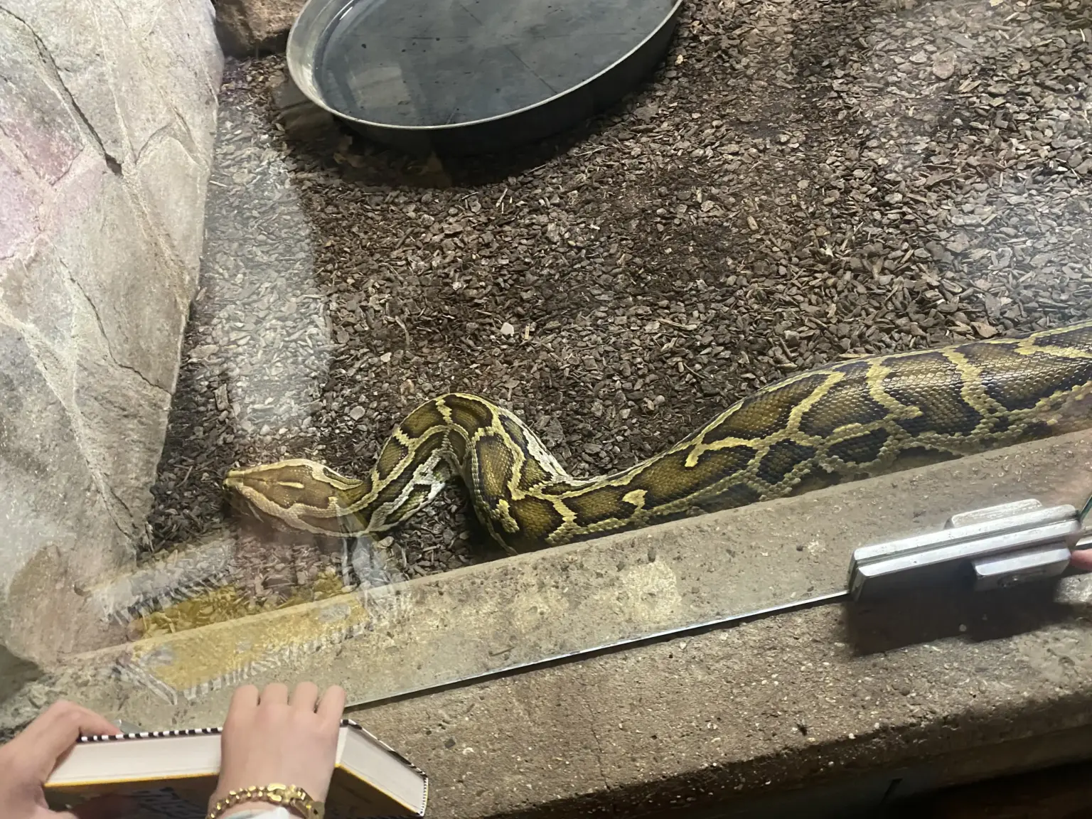 St. Raphael Schulen HD Zoobesuch 05