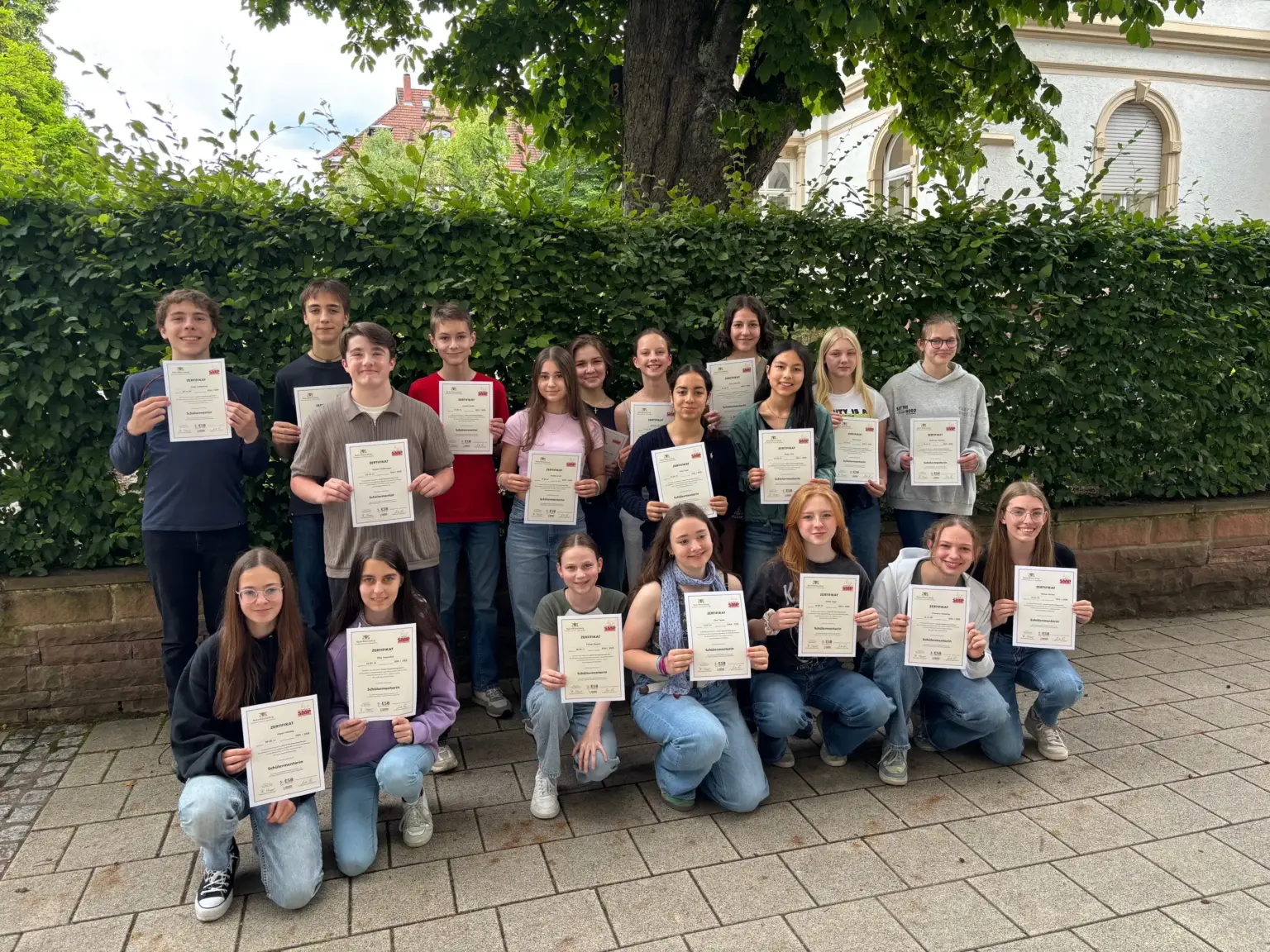 St. Raphael Schulen Heidelberg Landart01