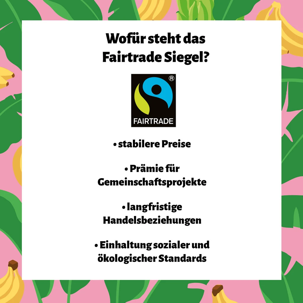 St. Raphael Schulen Heidelberg fairtrade 02