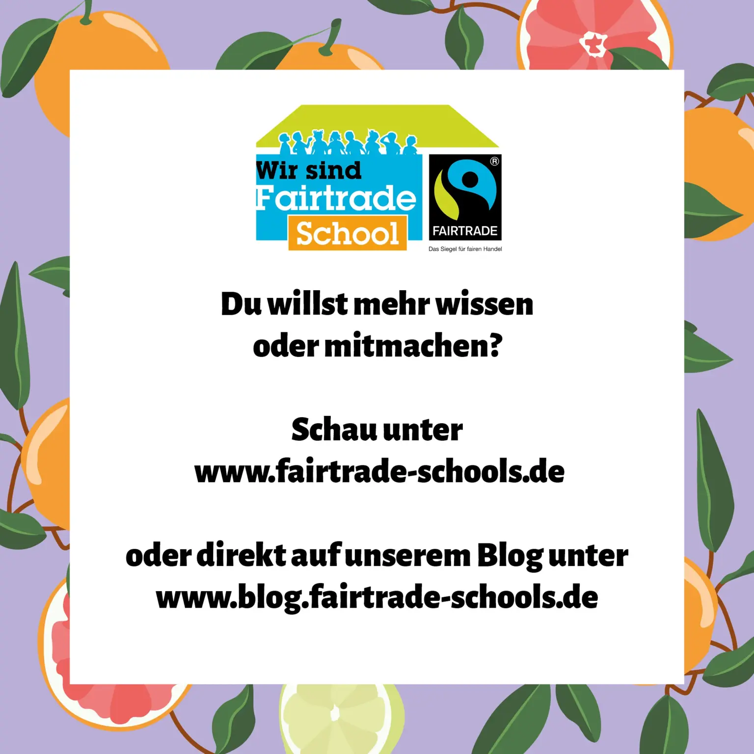 St. Raphael Schulen Heidelberg fairtrade 03