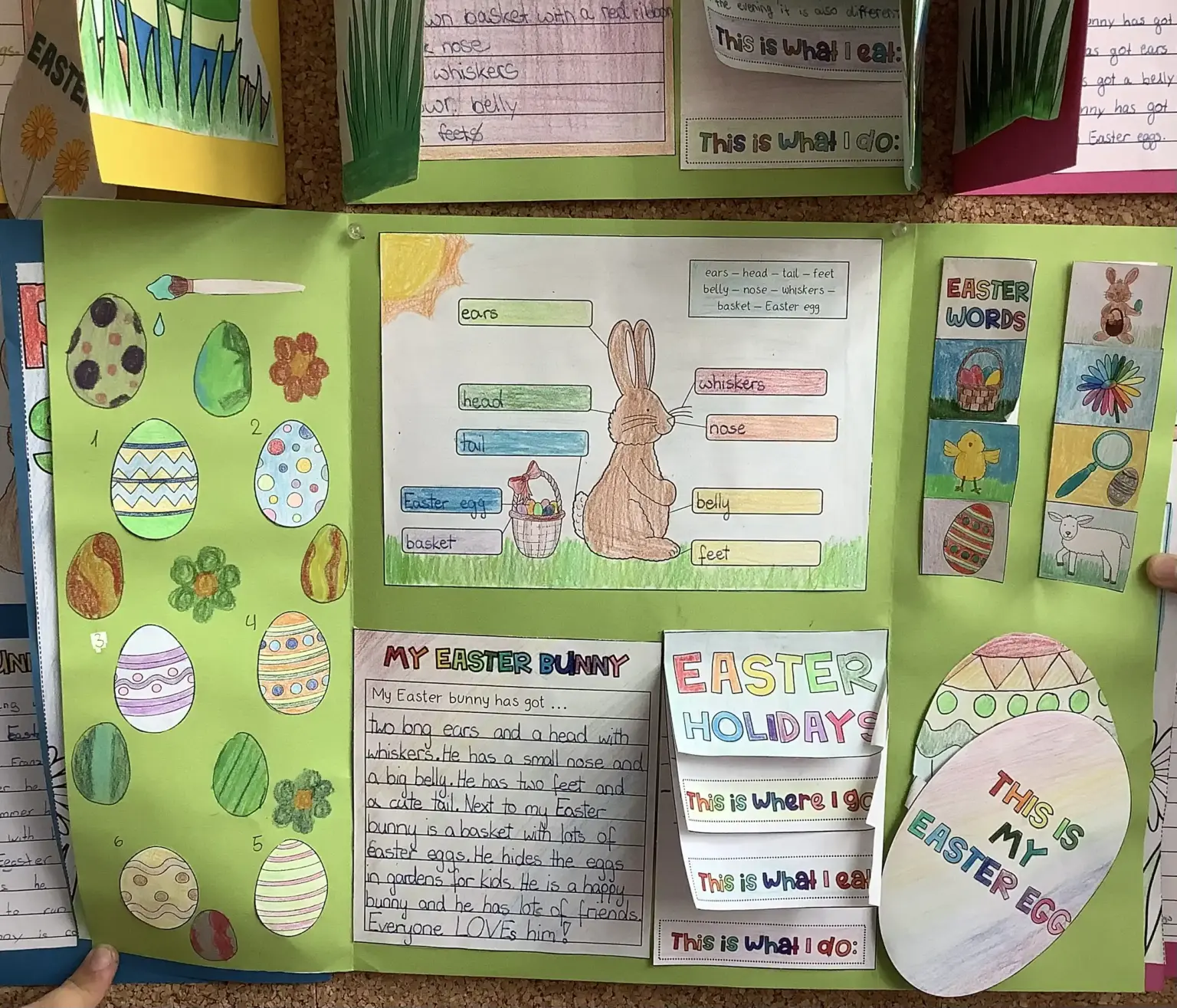 St. Raphael Schulen HD Englischprojekt 5 02