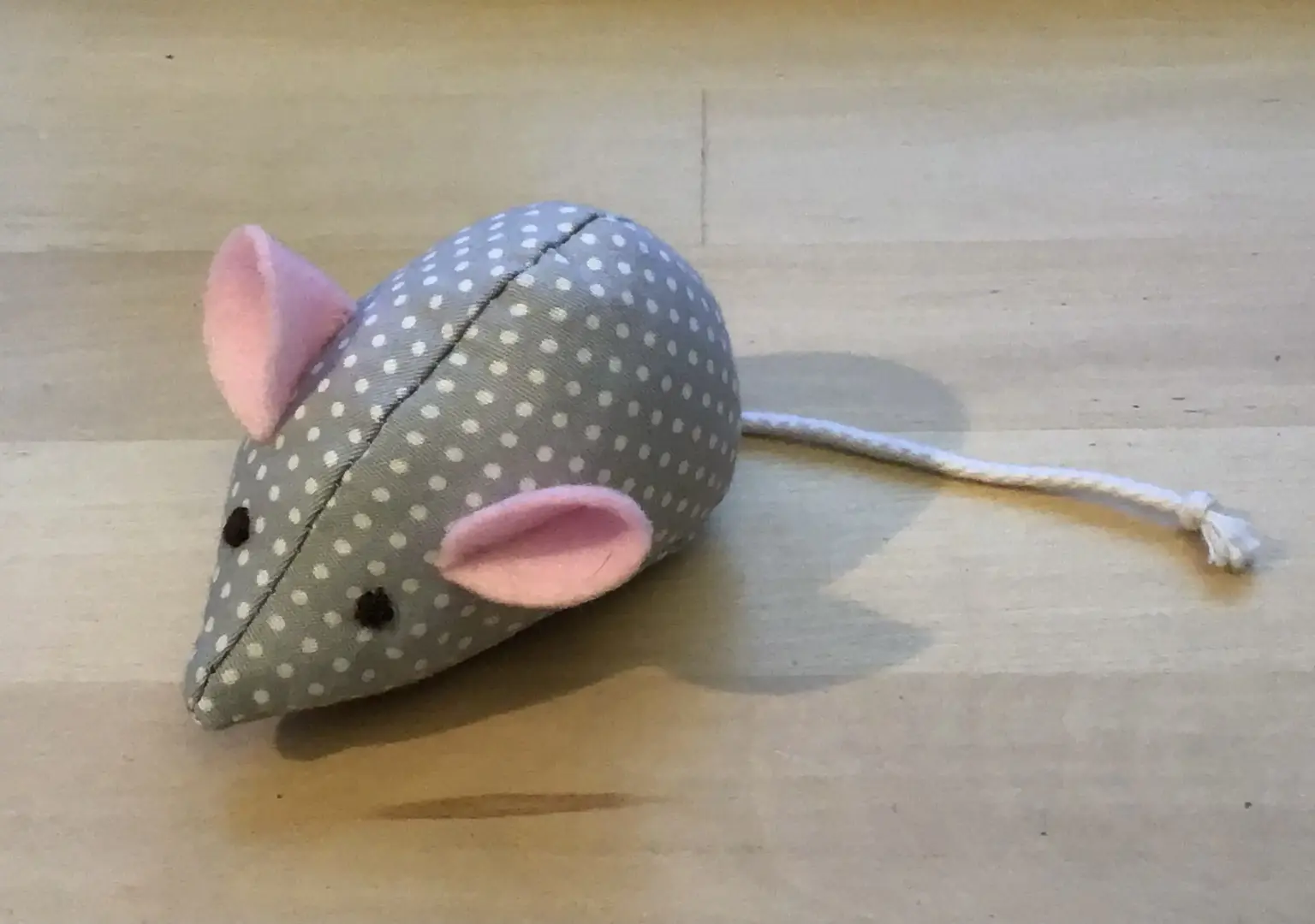 St.Raphael Schulen HD Nachhaltigkeits AG Nähmaus